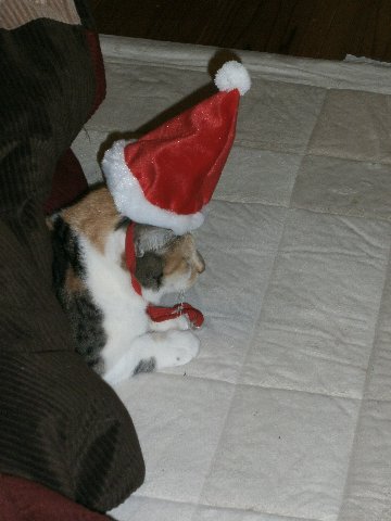 �N���X�}�X�L