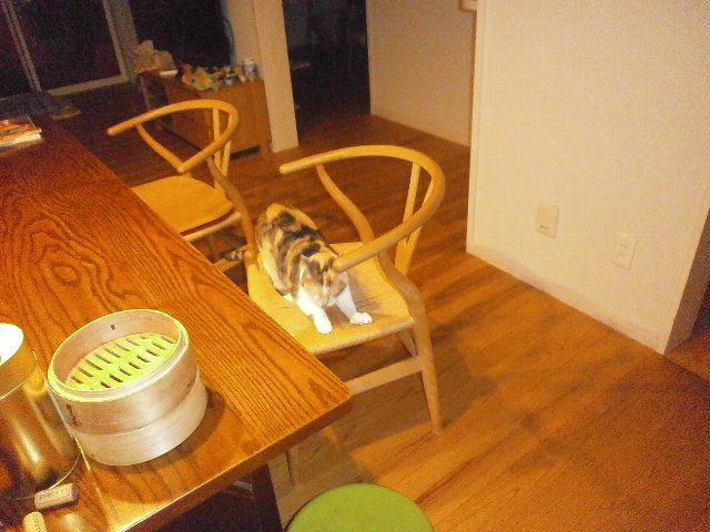 �L��Y�`�F�A�[