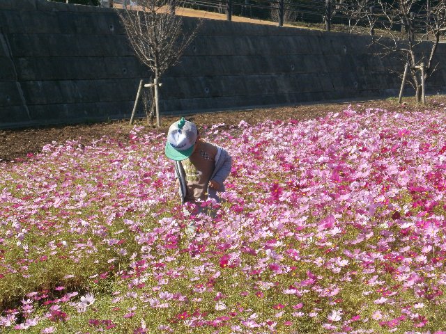 �R�X���X��